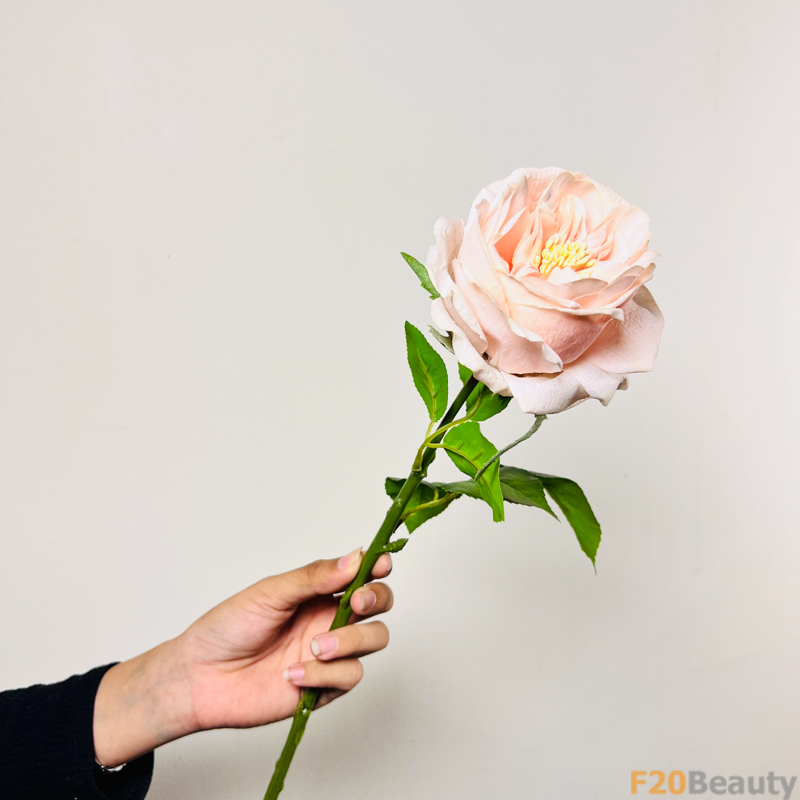 Sự Độc Đáo và Lôi Cuốn: Hoa Hồng David Austin Màu Hồng Nhạt