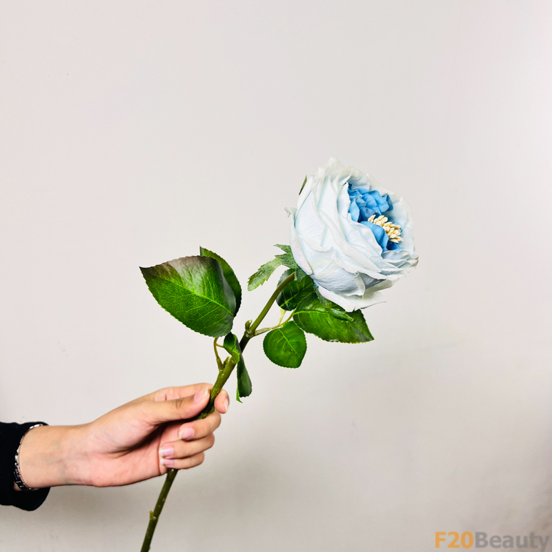 Sự Quyến Rũ Mê Hoặc Của Hoa Hồng David Austin Màu Xanh