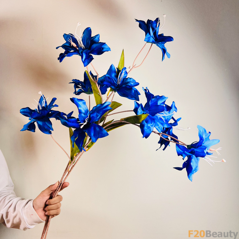 Hoa Diên Vĩ Sparaxis Màu Xanh Đậm: Sự Mạnh Mẽ và Lôi Cuốn