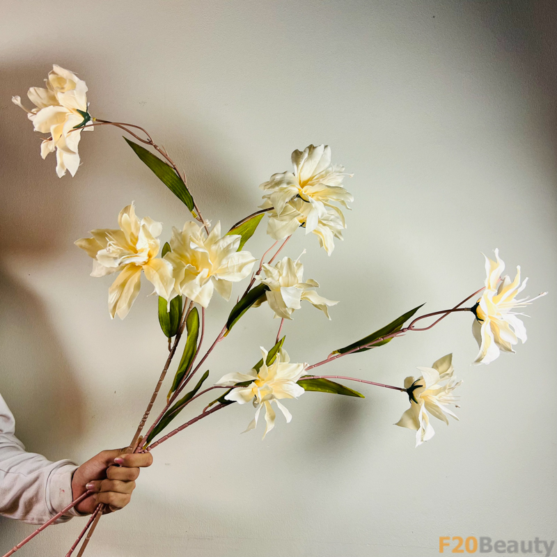 Hoa diên vĩ Sparaxis màu vàng