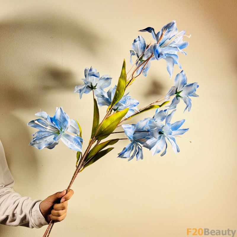 Hoa diên vĩ Sparaxis xanh nhạt