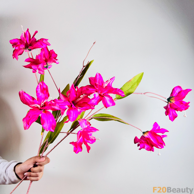 Hoa diên vĩ Sparaxis màu hồng đậm