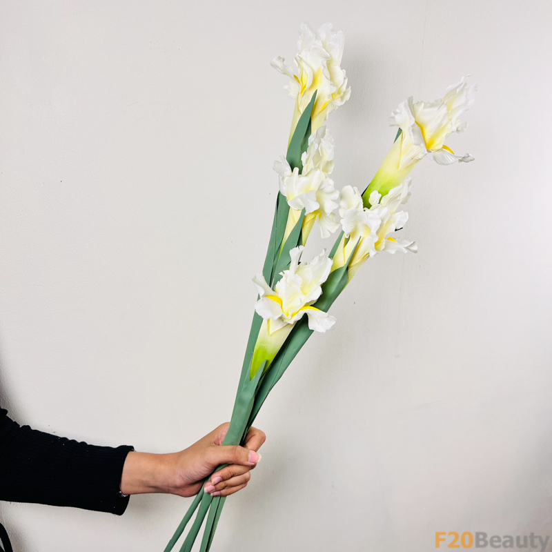 Hoa diên vĩ Iris màu trắng