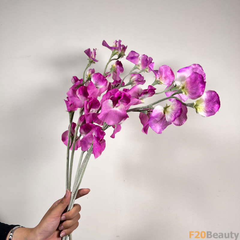 Hoa Đậu Biếc Tím: Sự Đẹp Mê Hoặc và Quyến Rũ Tinh Khoảnh Khắc