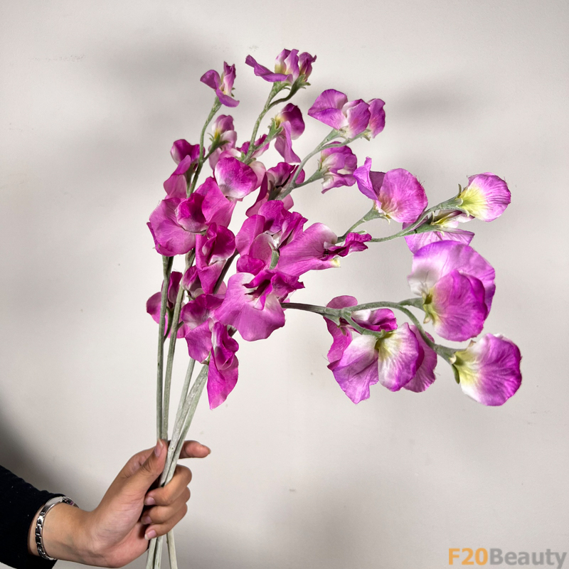 Hoa Đậu Biếc Tím: Màu Sắc Nổi Bật và Sức Sống Nghệ Thuật của Thiên Nhiên