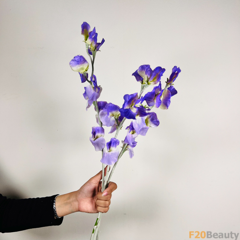 Hoa Đậu Biếc Xanh Dương Đậm: Sự Quyến Rũ của Màu Sắc Tự Nhiên