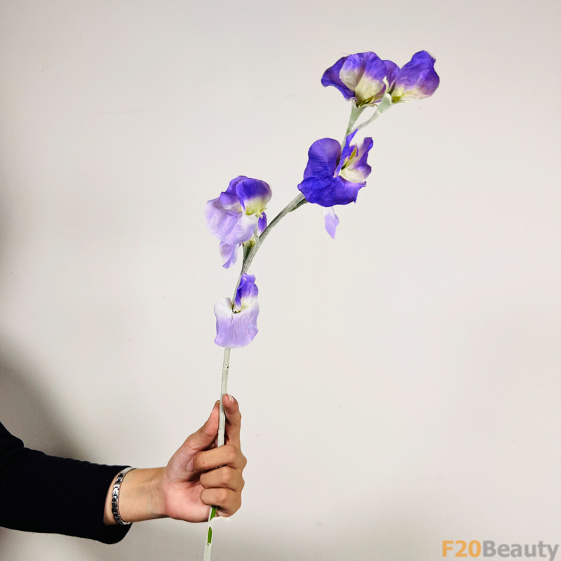 Hoa Đậu Biếc Xanh Dương Đậm: Sự Mê Hoặc và Sức Sống Mạnh Mẽ