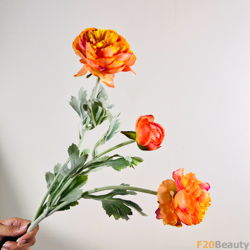 Màu Cam Rực Rỡ: Hoa Hồng David Austin và Vẻ Đẹp Tinh Tế của Mùa Xuân