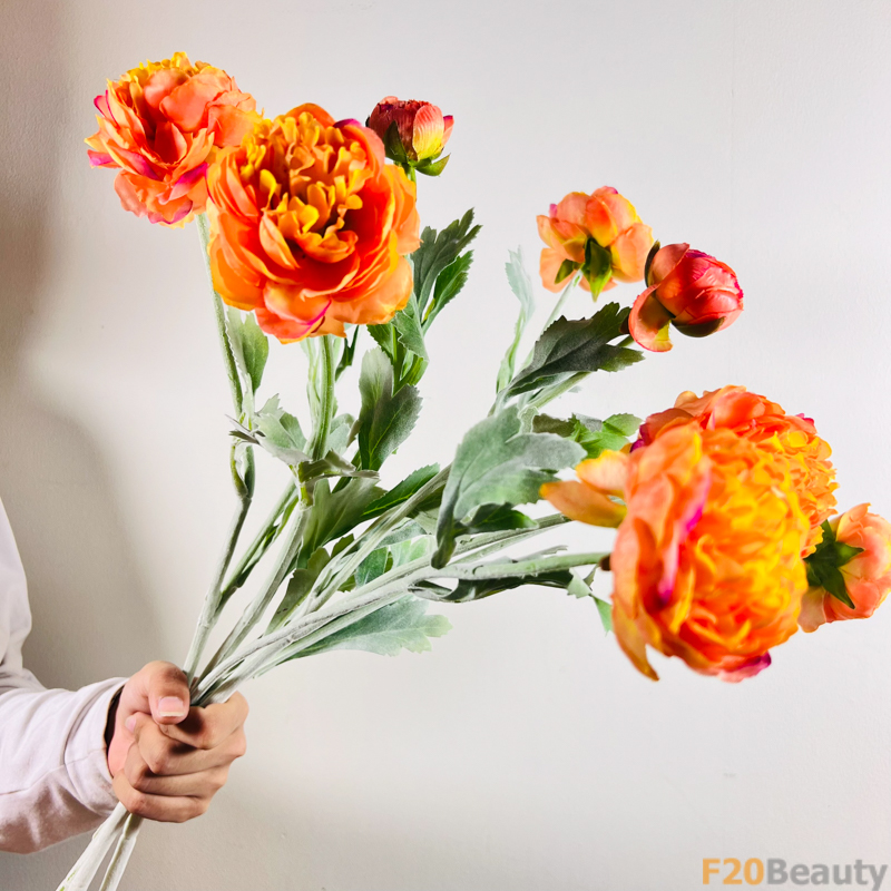 Hoa Hồng David Austin 3 Bông Cam: Sự Dịu Dàng và Thanh Thản Tự Nhiên