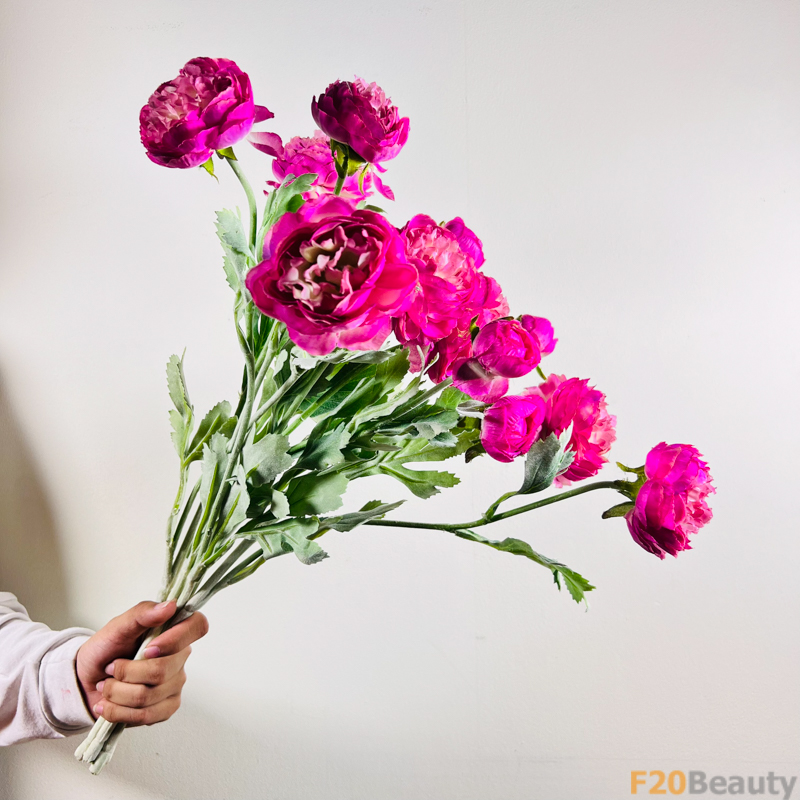 Hoa Hồng David Austin 3 Bông Hồng Đậm: Sự Kiêu Sa và Sôi Động Tự Nhiên