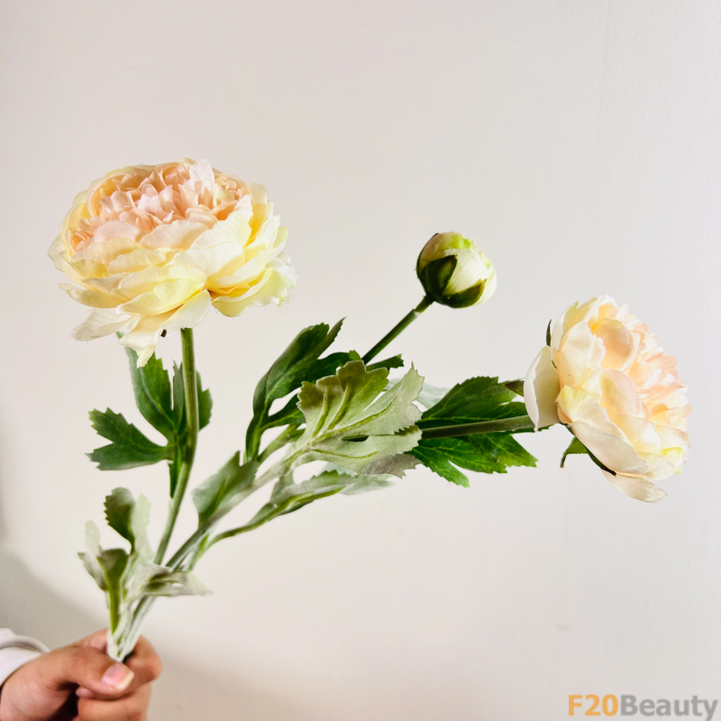 Sắc Vàng Rực Rỡ: Hoa Hồng David Austin và Sự Nồng Nàn Tự Nhiên