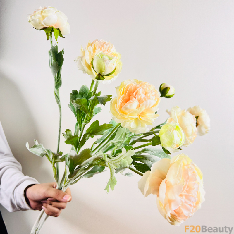 Màu Vàng Nổi Bật: Hoa Hồng David Austin và Vẻ Đẹp Nghệ Thuật Tự Nhiên