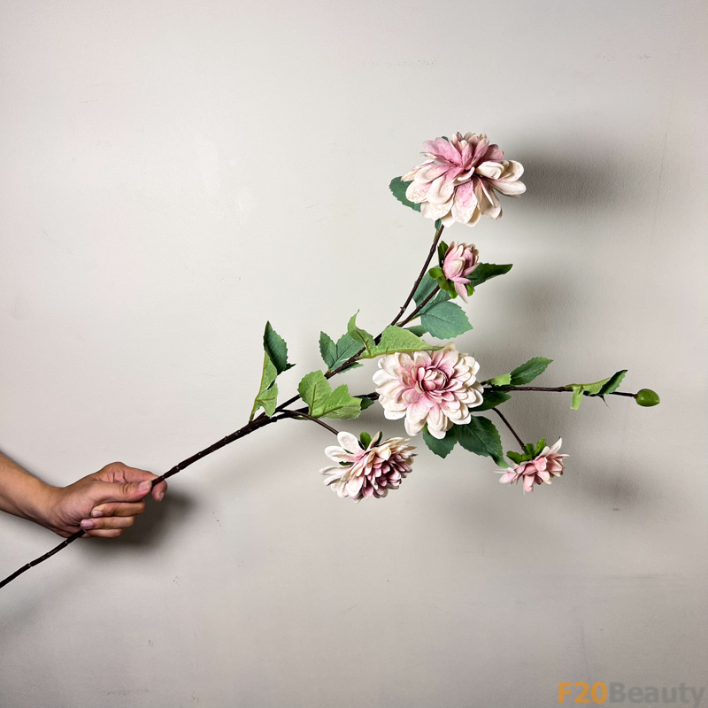 Sắc Tím Nổi Bật: Cúc Zinnia và Vẻ Đẹp Tự Nhiên Tinh Khoảnh Khắc