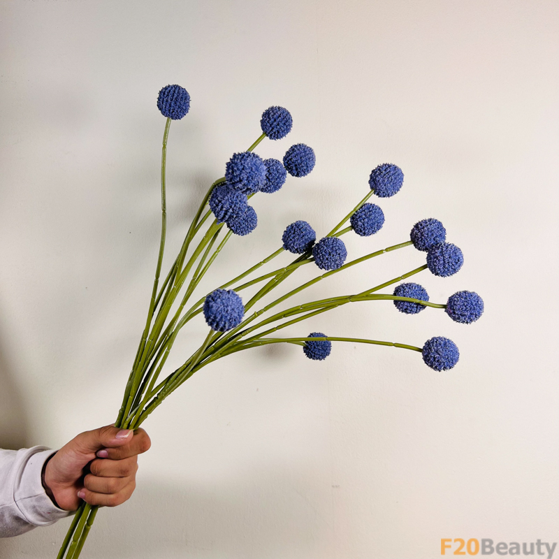 Sự Lãng Mạn của Mùa Hè: Cúc Ping Pong Tím và Sắc Tím Mềm Mại