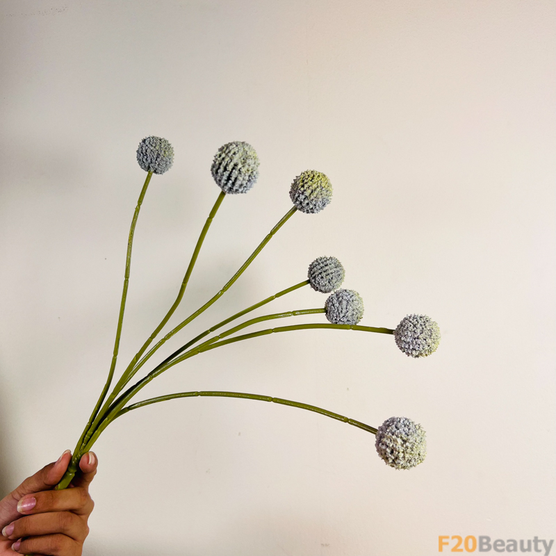 Màu Xanh Rêu Tươi Sáng: Cúc Ping Pong Xanh Rêu và Sự Thuần Khiết của Mùa Hè