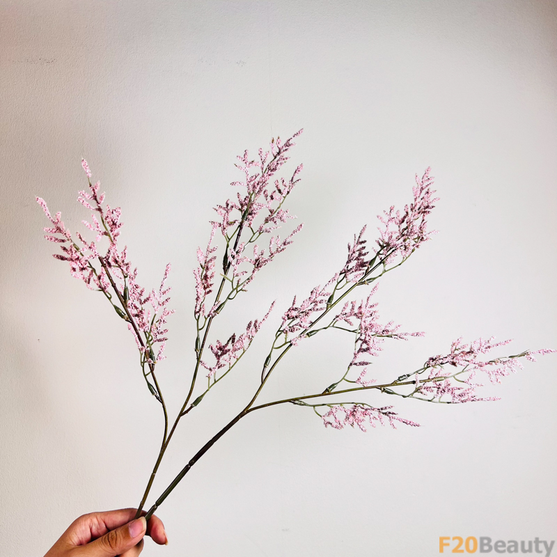 Sự Tinh Tế của Thiên Nhiên: Cỏ Tình Nhân và Vẻ Đẹp Thuần Khiết