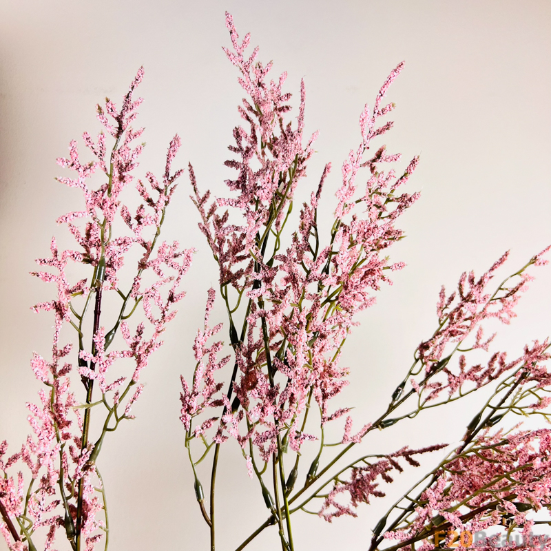 Sự Sống Động của Mùa Hè: Cỏ Tình Nhân và Vẻ Đẹp Tinh Khoảnh Khắc