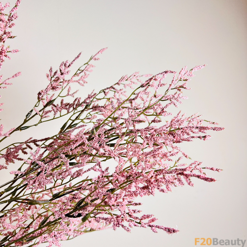 Vẻ Đẹp Tinh Tế: Cỏ Tình Nhân và Sự Thuần Khiết của Thiên Nhiên