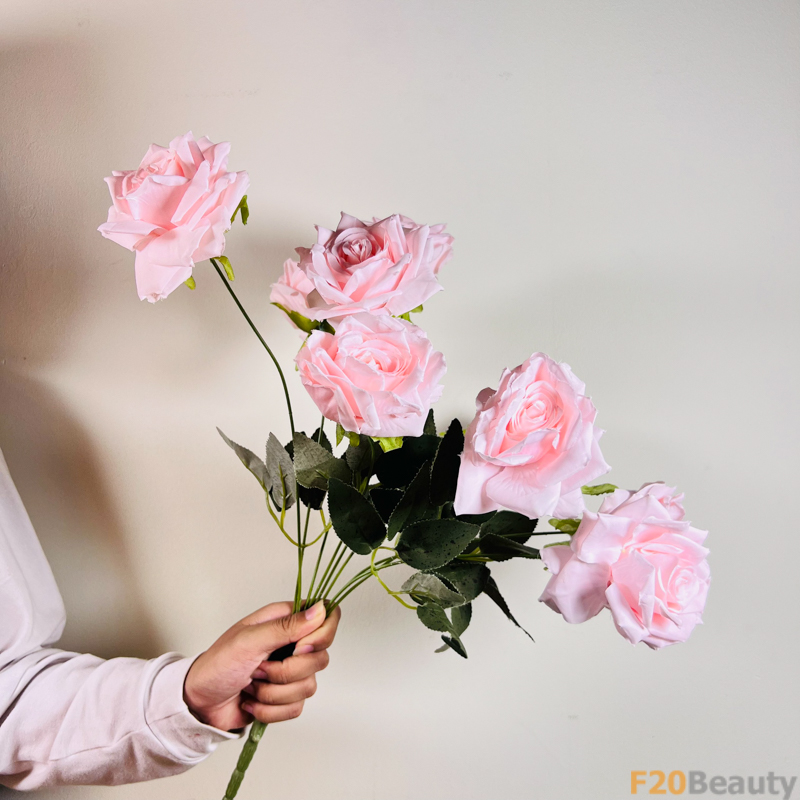 Tinh Tế và Dịu Dàng: Hoa Hồng Rosa Schnnewittchen Hồng Nhạ