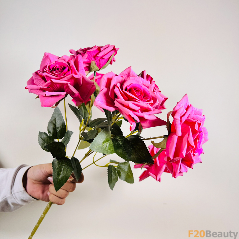 Sự Kiêu Sa và Đẳng Cấp: Hoa Hồng Rosa Schnnewittchen Hồng Đậm