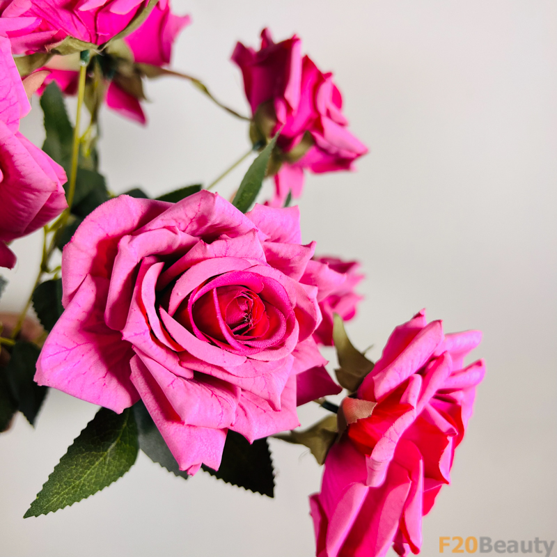 Sự Huyền Bí và Quyến Rũ: Hoa Hồng Rosa Schnnewittchen và Sắc Hồng Đậm Nồng Nàn