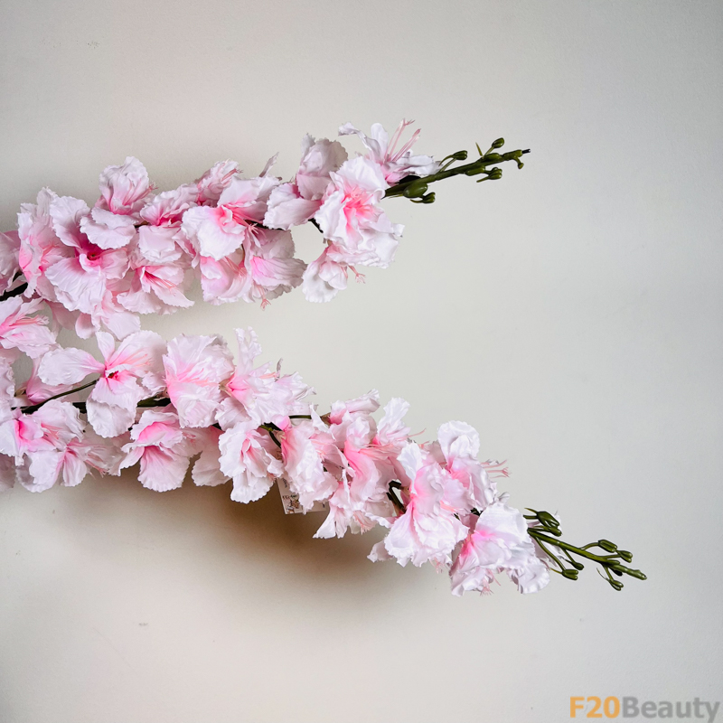 Màu Hồng Nồng Nàn: Hoa Anh Đào Hồng và Vẻ Đẹp Quyến Rũ của Thiên Nhiên