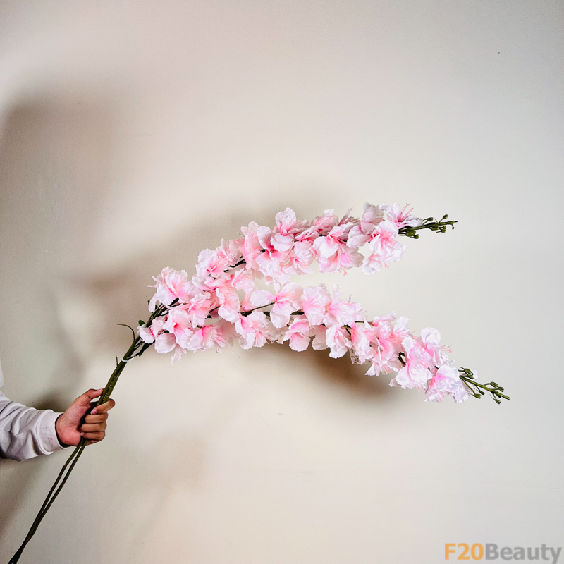 Sắc Hồng Nồng Ấm: Hoa Anh Đào Hồng và Sự Quyến Rũ Duyên Dáng