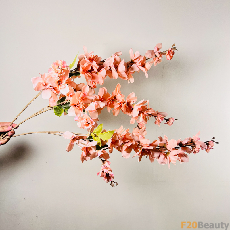 Hoa anh đào màu cam