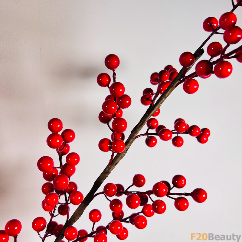 Đỏ Lửa và Hồn Nhiên: Cành Đông Đào Trong Sự Hân Hoan của Xuân