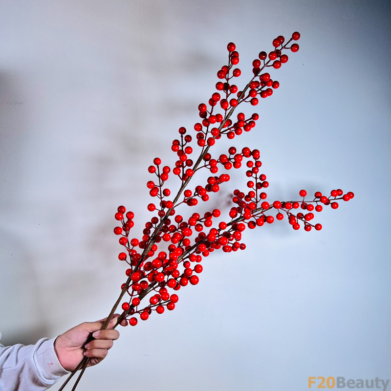 Mùa Xuân Rực Rỡ: Cành Đông Đào và Sắc Đỏ Cuồng Nhiệt