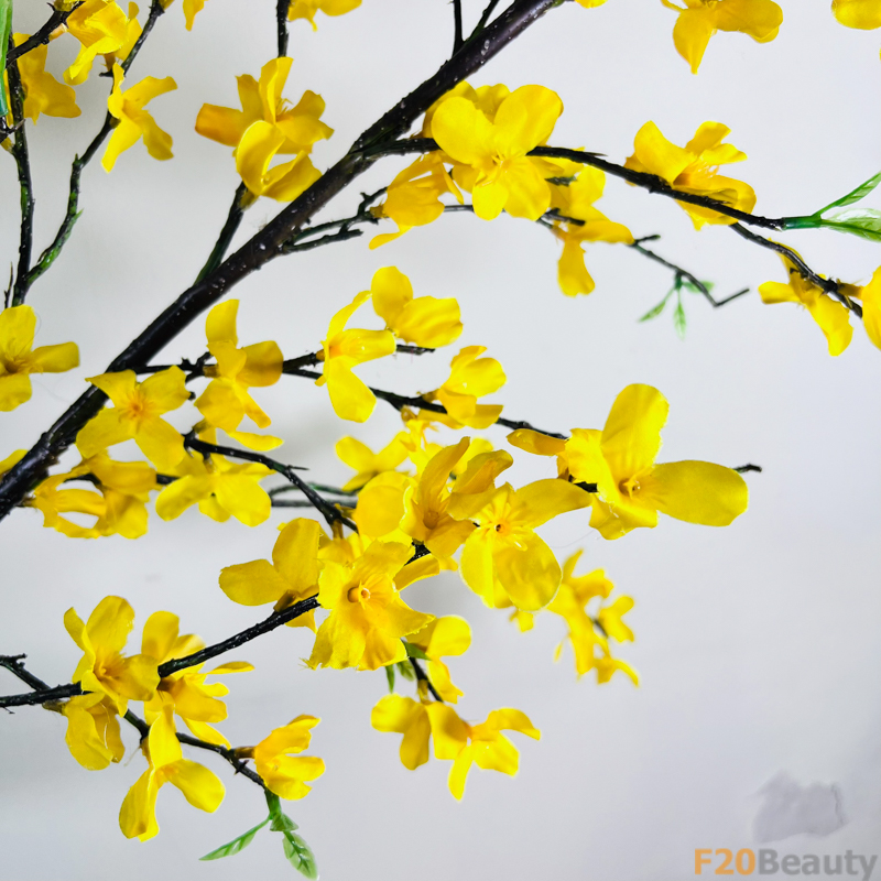 Sự Truyền Thống và Tinh Hoa: Cành Hoa Mai Vàng Trong Tình Yêu Xuân