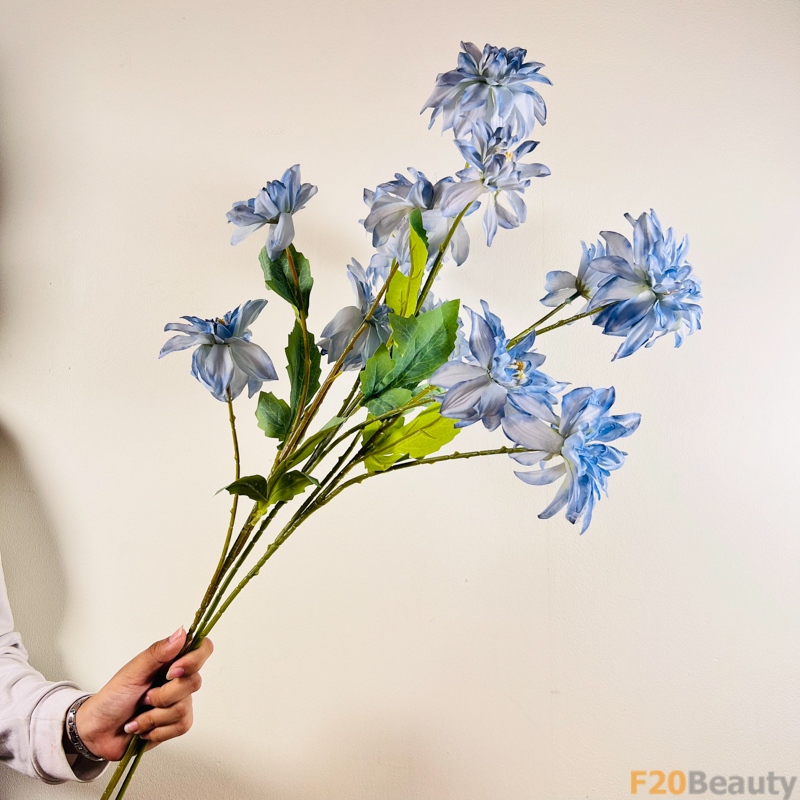 Nét Mộc Mạc: Hoa Thược Dược Cánh Nhọn Màu Xanh Mát