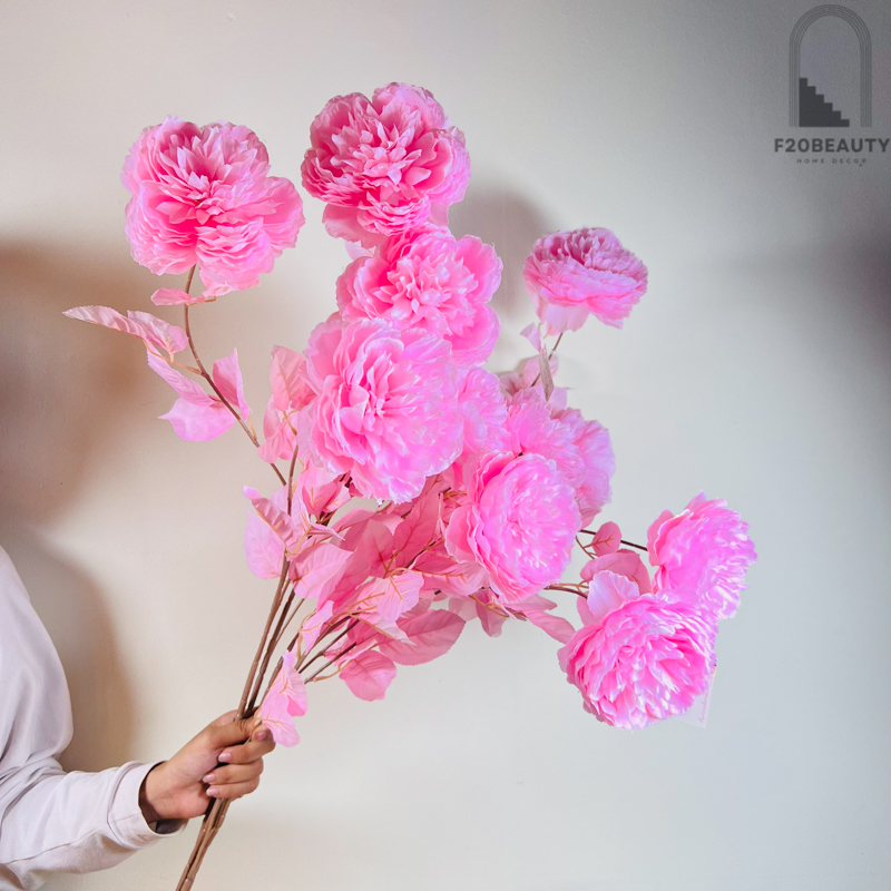 Hoa hồng mẫu đơn