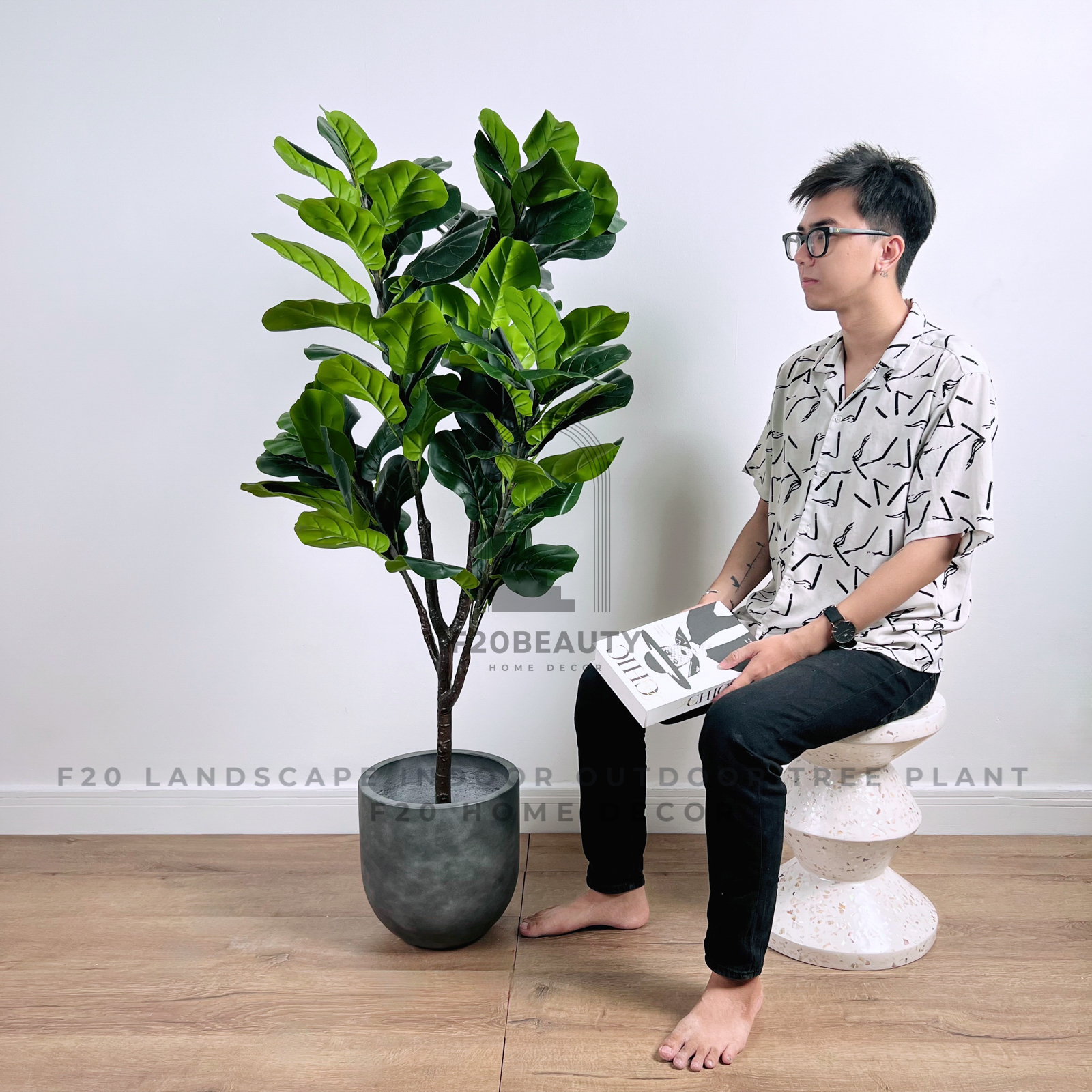 Cây Bàng Singapore giả cao 150 cm 3 nhánh