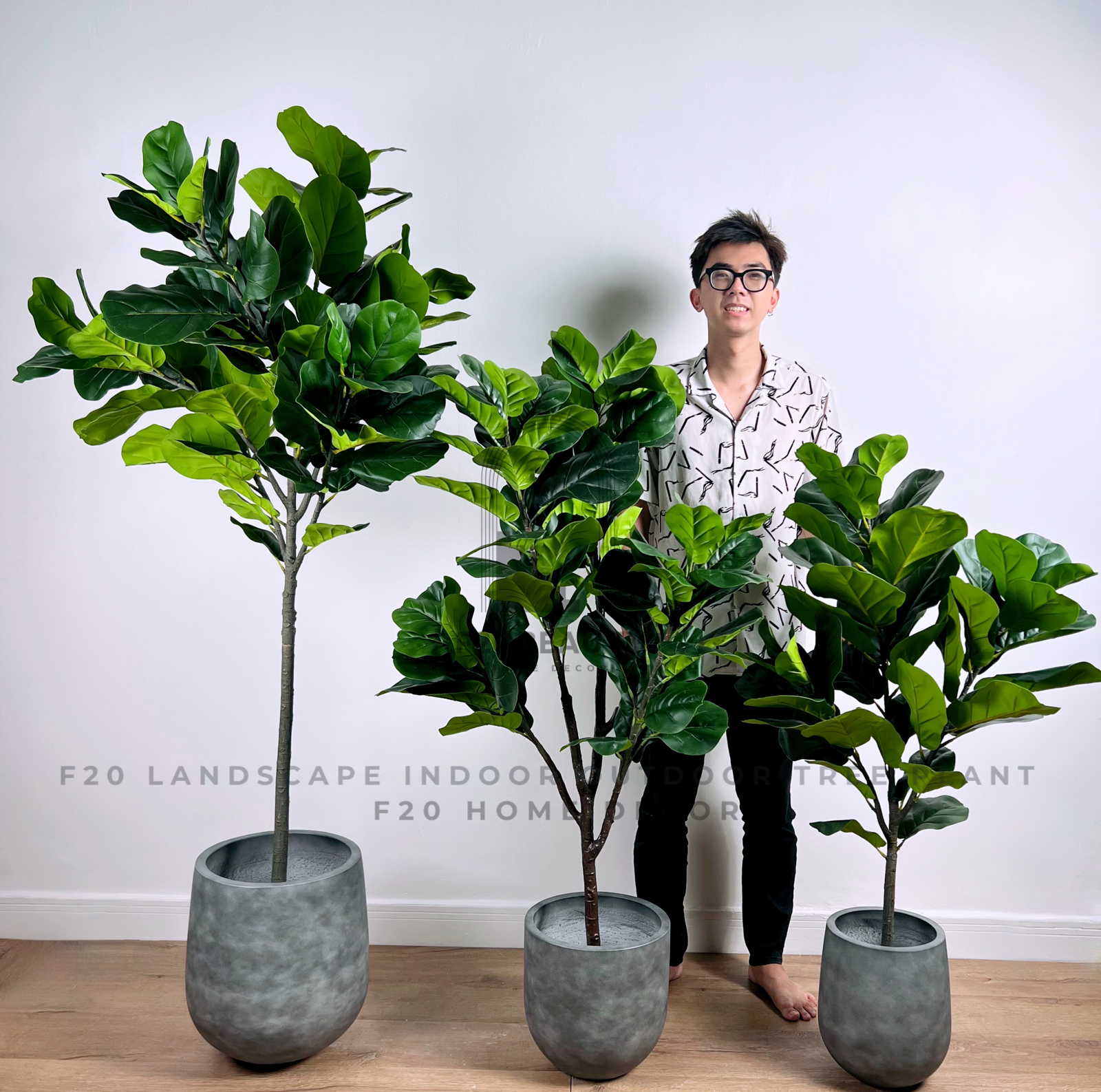 Cây Bàng Singapore giả trang trí nội thất với nhiều kiểu dáng và kích thước đa dạng: 130 cm, 150 cm, 180 cm