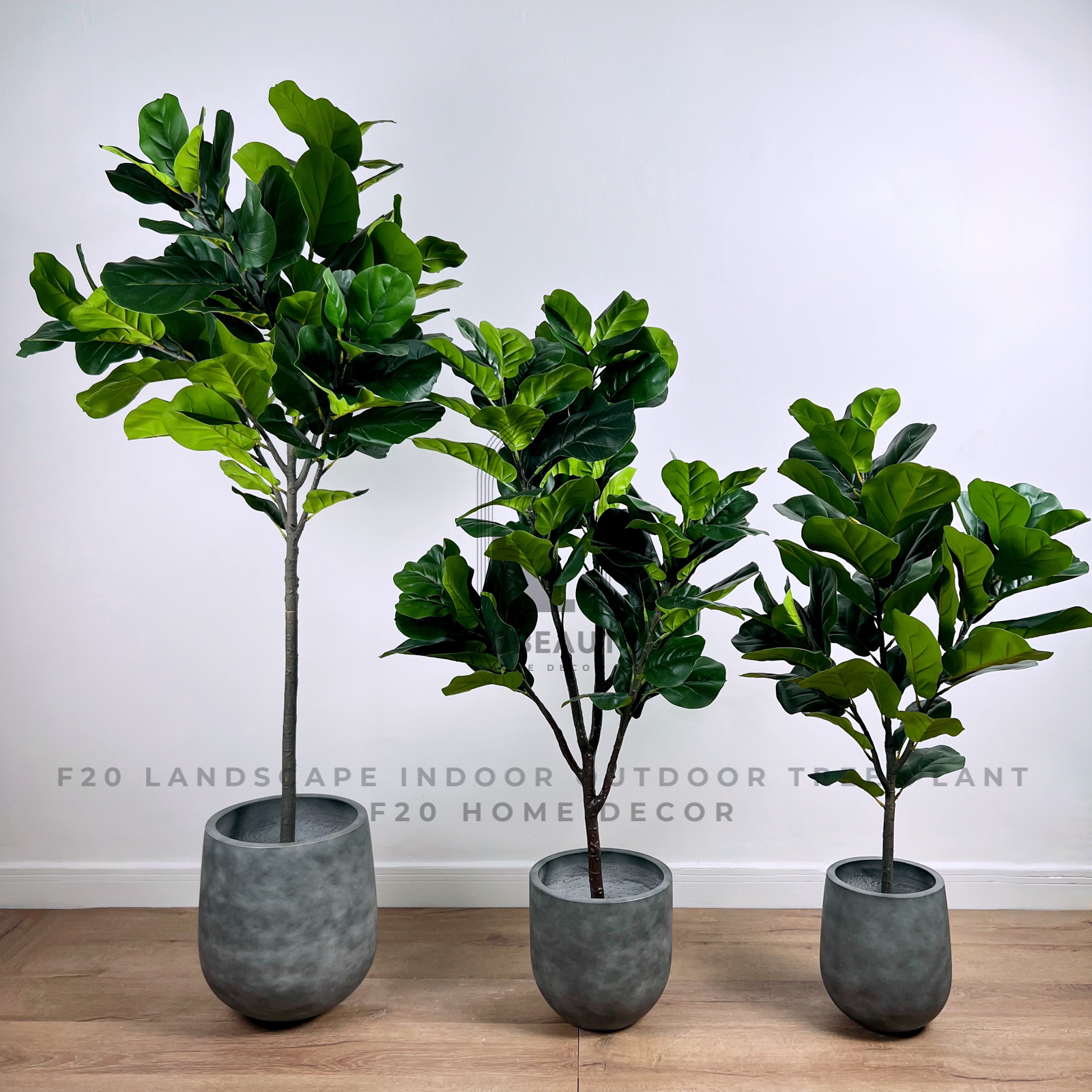 Tổng hợp những mẫu cây bàng Singapore giả dáng đẹp, nhiều kích thước kèm chậu xi măng xám khói