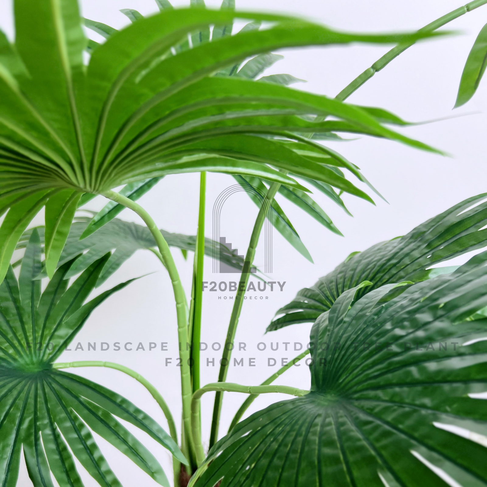 Chi tiết lá cây cọ quạt giả phong cách nhiệt đới
