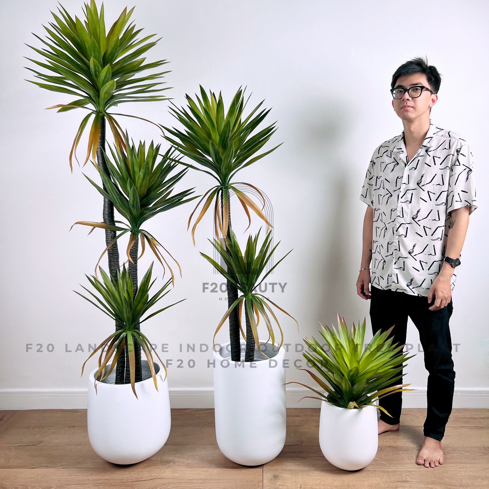 Cây dứa phát tài giả đa dạng chiều cao từ 55cm, 170cm, 200cm