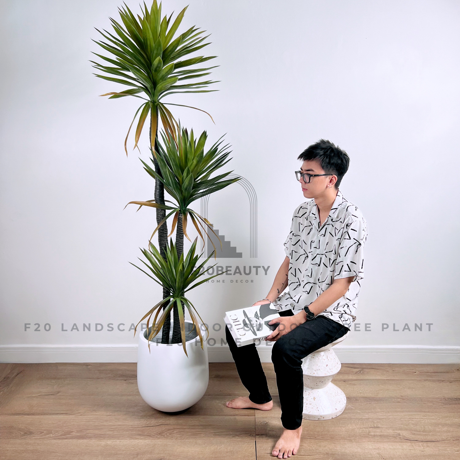 Cây dứa phát tài 3 thân 200cm kèm chậu xi măng trắng tạo điểm nhấn cho không gian sống