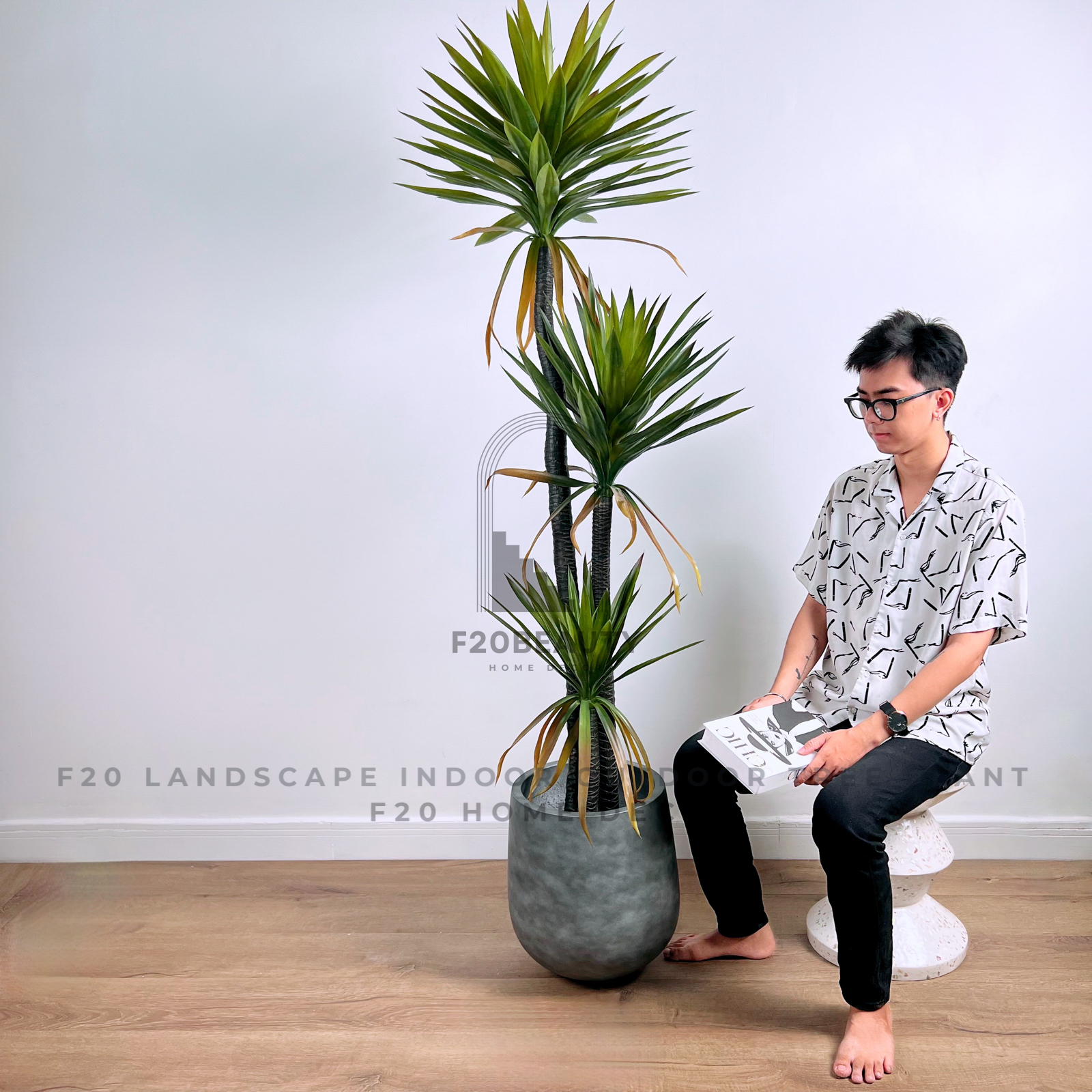 Cây dứa phát tài 3 thân 200cm kèm chậu xi măng xám khói phong cách Tropical