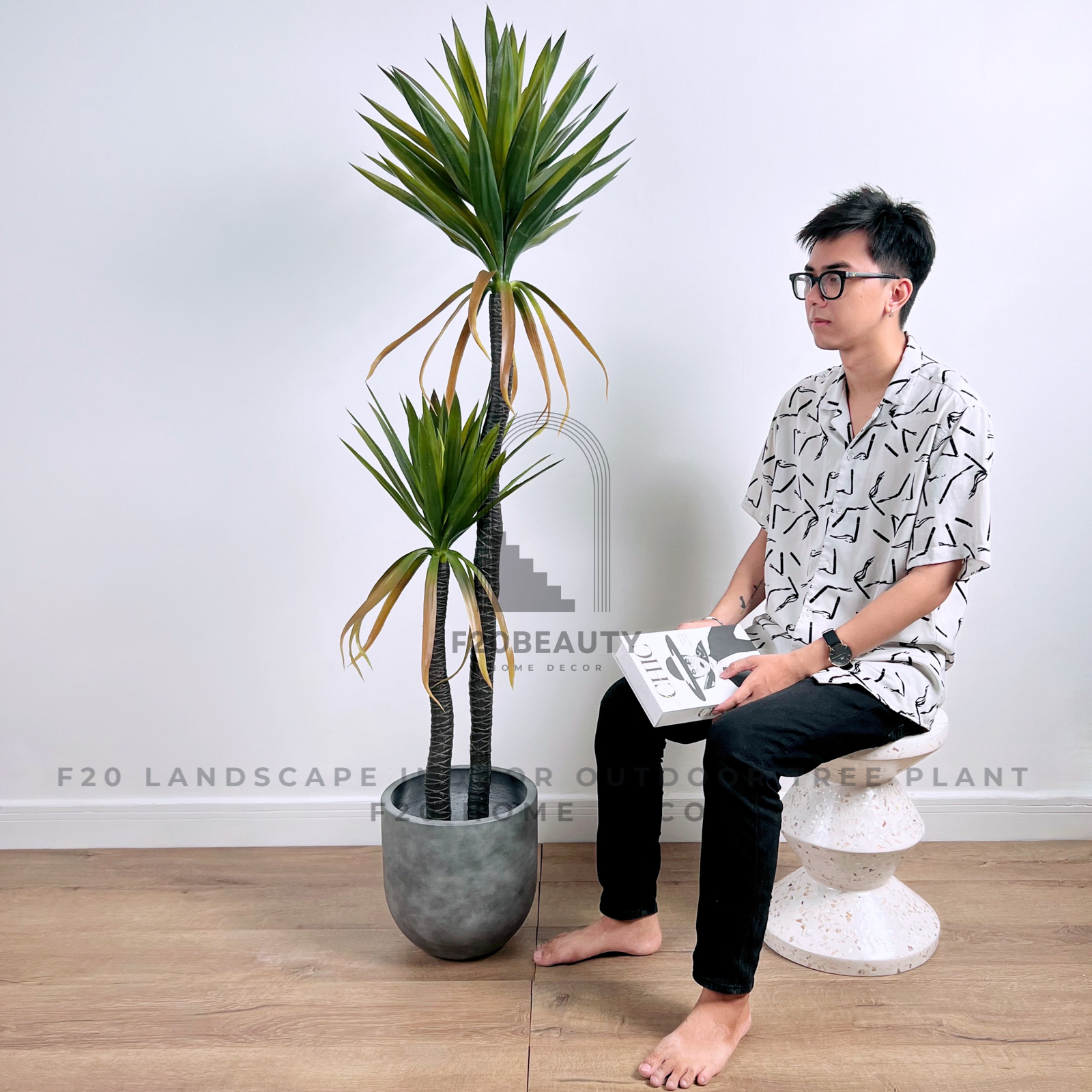 Cây dứa phát tài 2 thân 170cm trang trí  kèm chậu xi măng xám khói