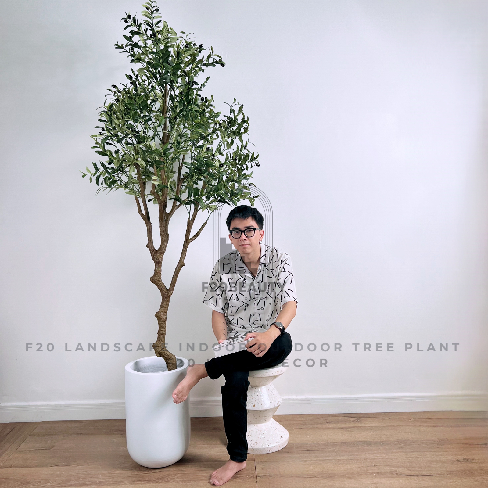 Cây Olive giả 240cm trang trí kèm chậu xi măng trắng