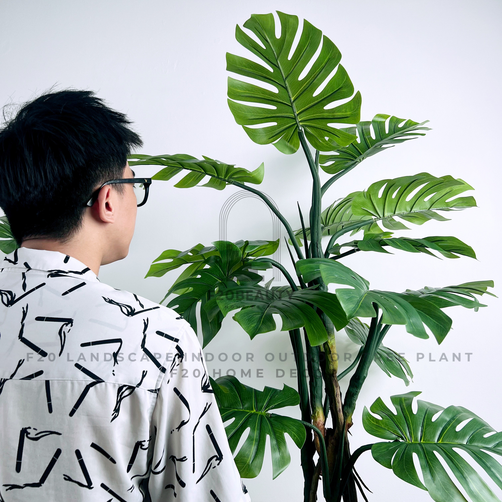 Cây trầu bà Monstera nhiệt đới thân cao giả làm nổi bất không gian sống