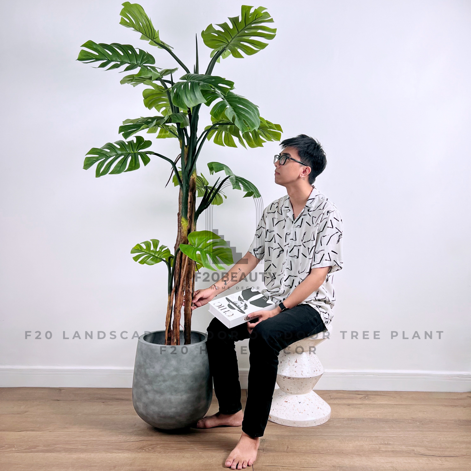 Cây trầu bà Monstera nhiệt đới thân cao giả 220cm kèm chậu xi măng xám khói