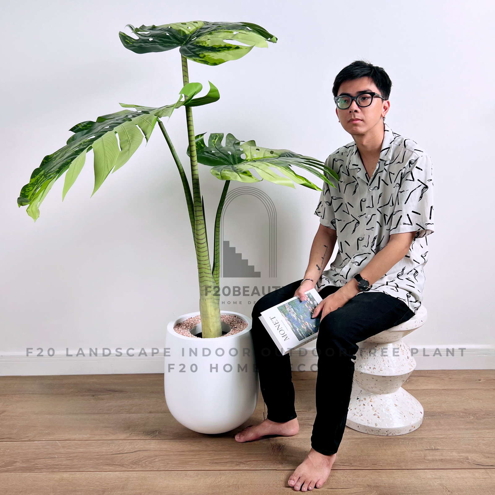 Cây Monstera đột biến 3 lá to giả kèm chậu xi măng trắng mang nét độc đáo trong trang trí