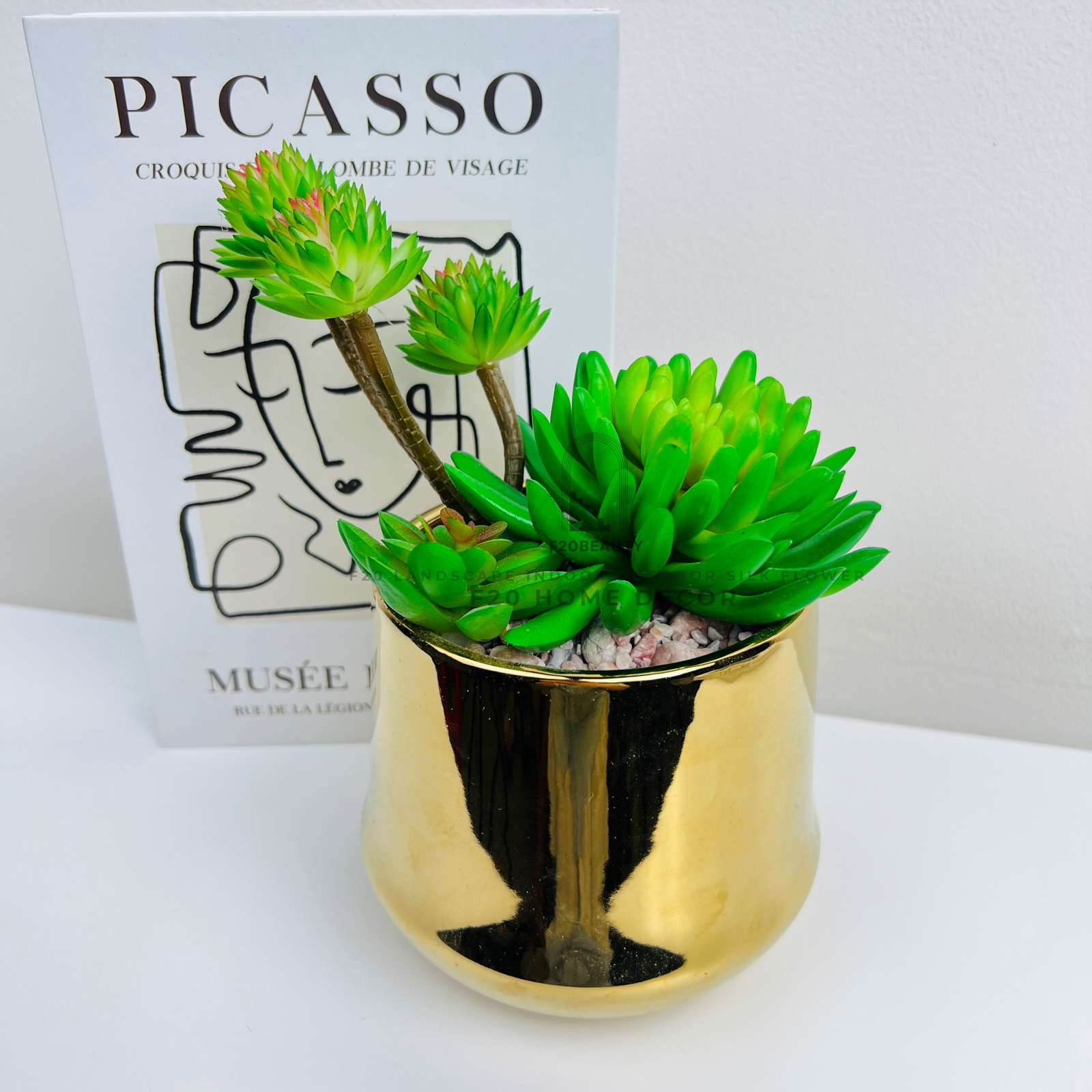 Chậu cây sen đá Setosa xanh giả để bàn