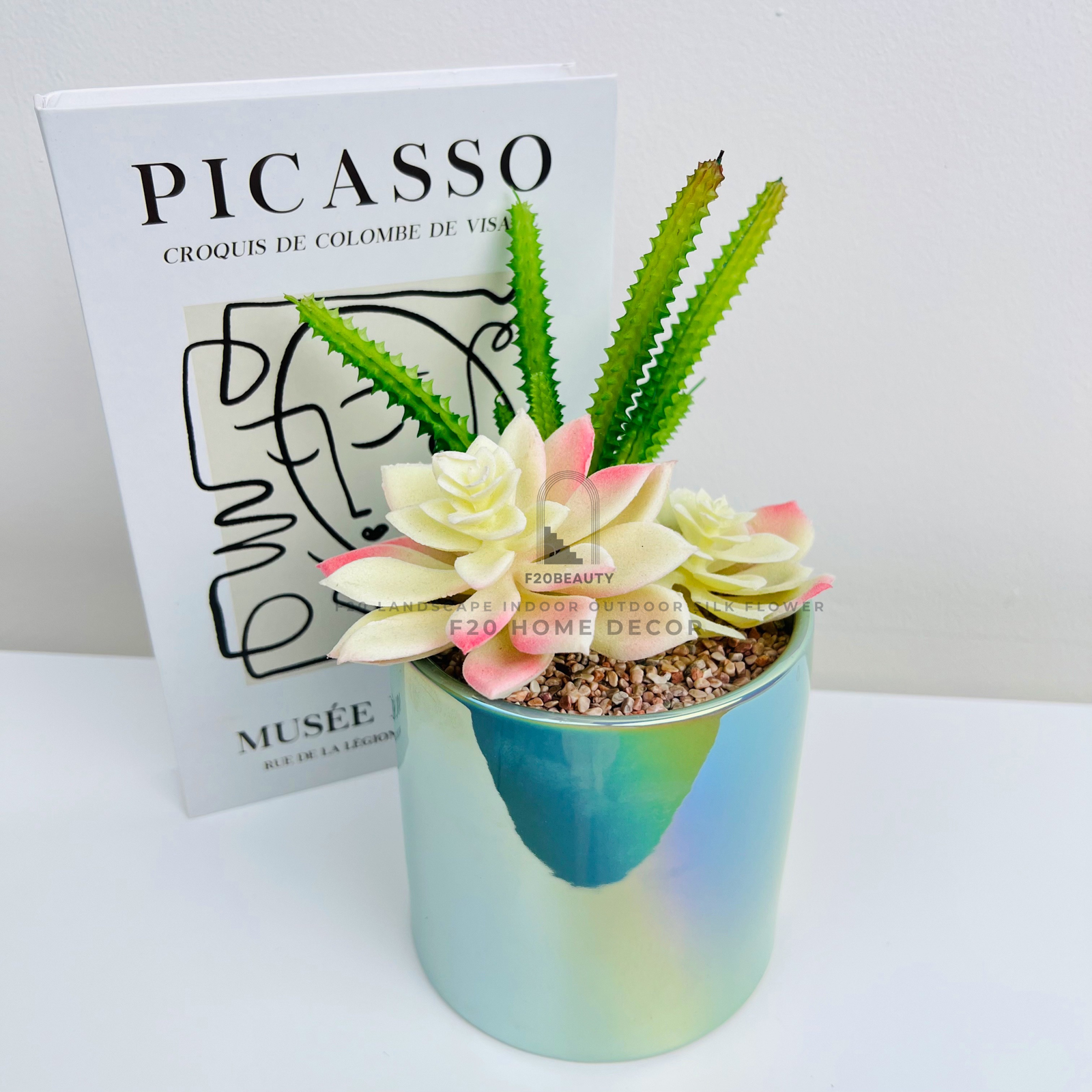 Chậu cây sen đá để bàn mang phong cách Scandinavian hiện đại