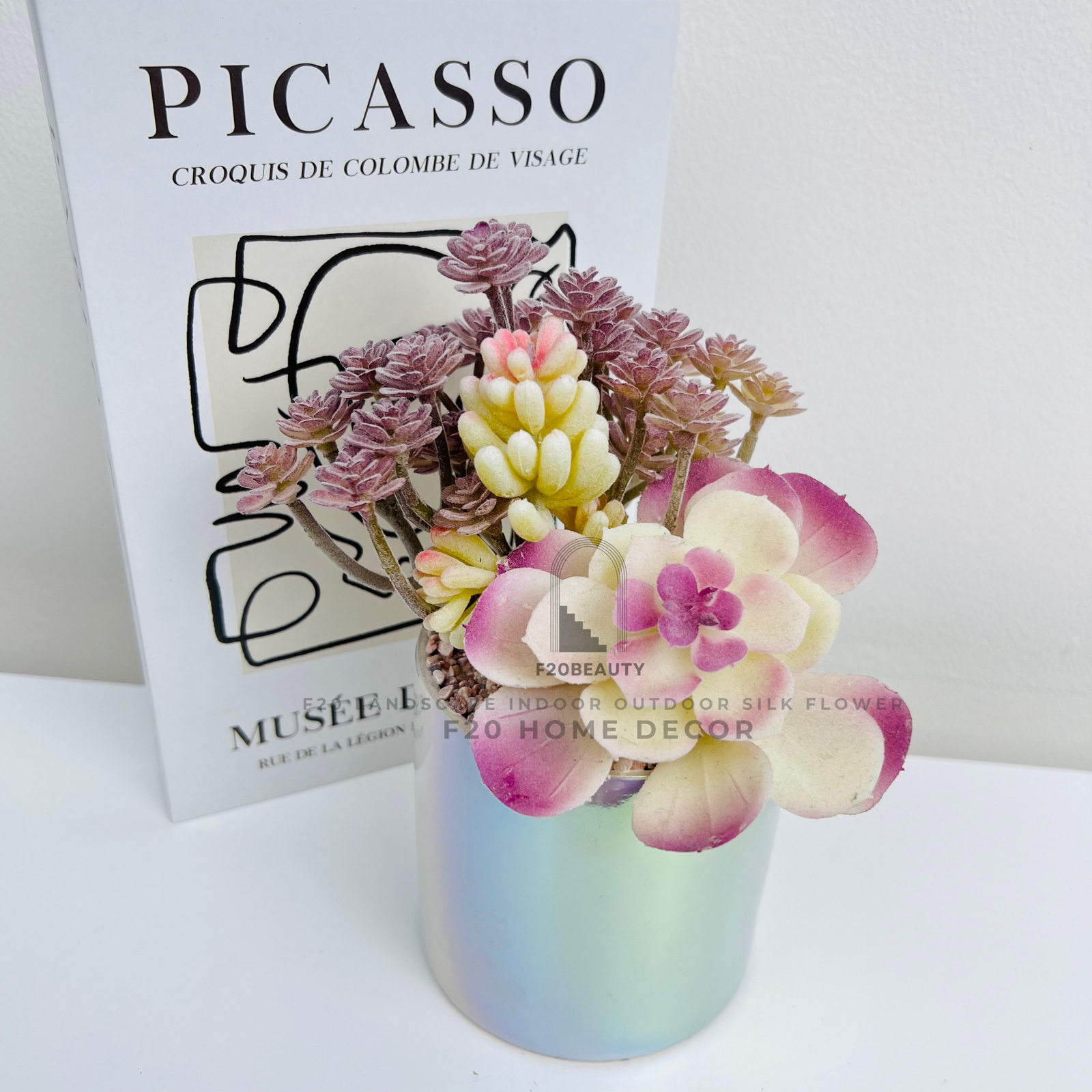 Chậu cây sen đá ngân chi giả để bàn