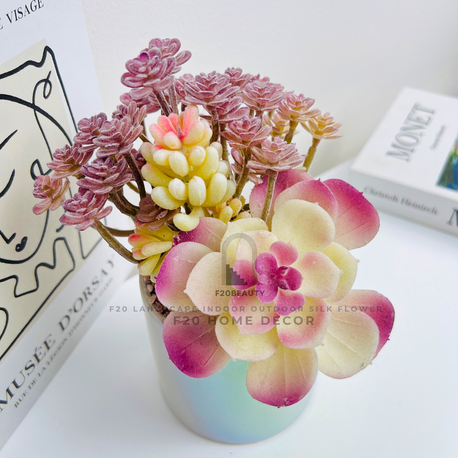 Chậu cây sen đá ngân chi giả để bàn