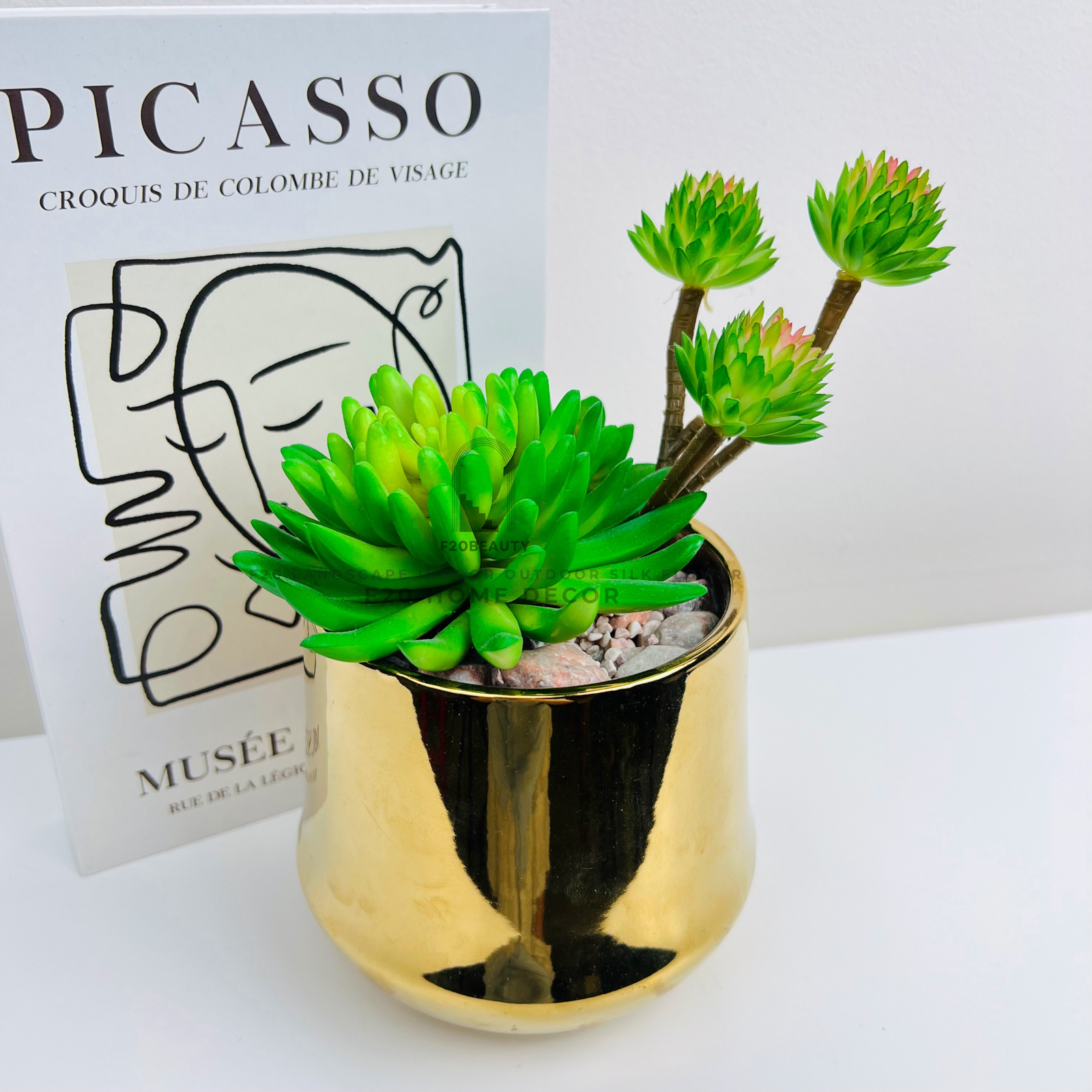 Hình ảnh chậu cây sen đá Setosa xanh giả trang trí văn phòng